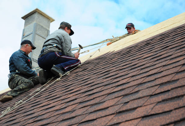 Best Gutter Installation and Roofing  in Wesleyville, PA