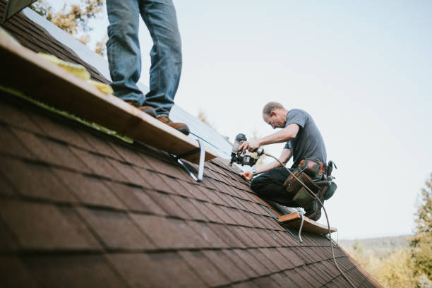 Best Storm Damage Roof Repair  in Wesleyville, PA