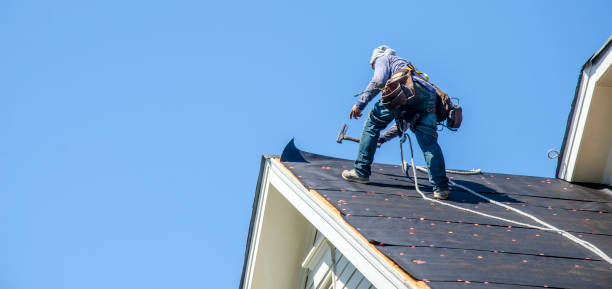 Best Shingle Roofing Installation  in Wesleyville, PA